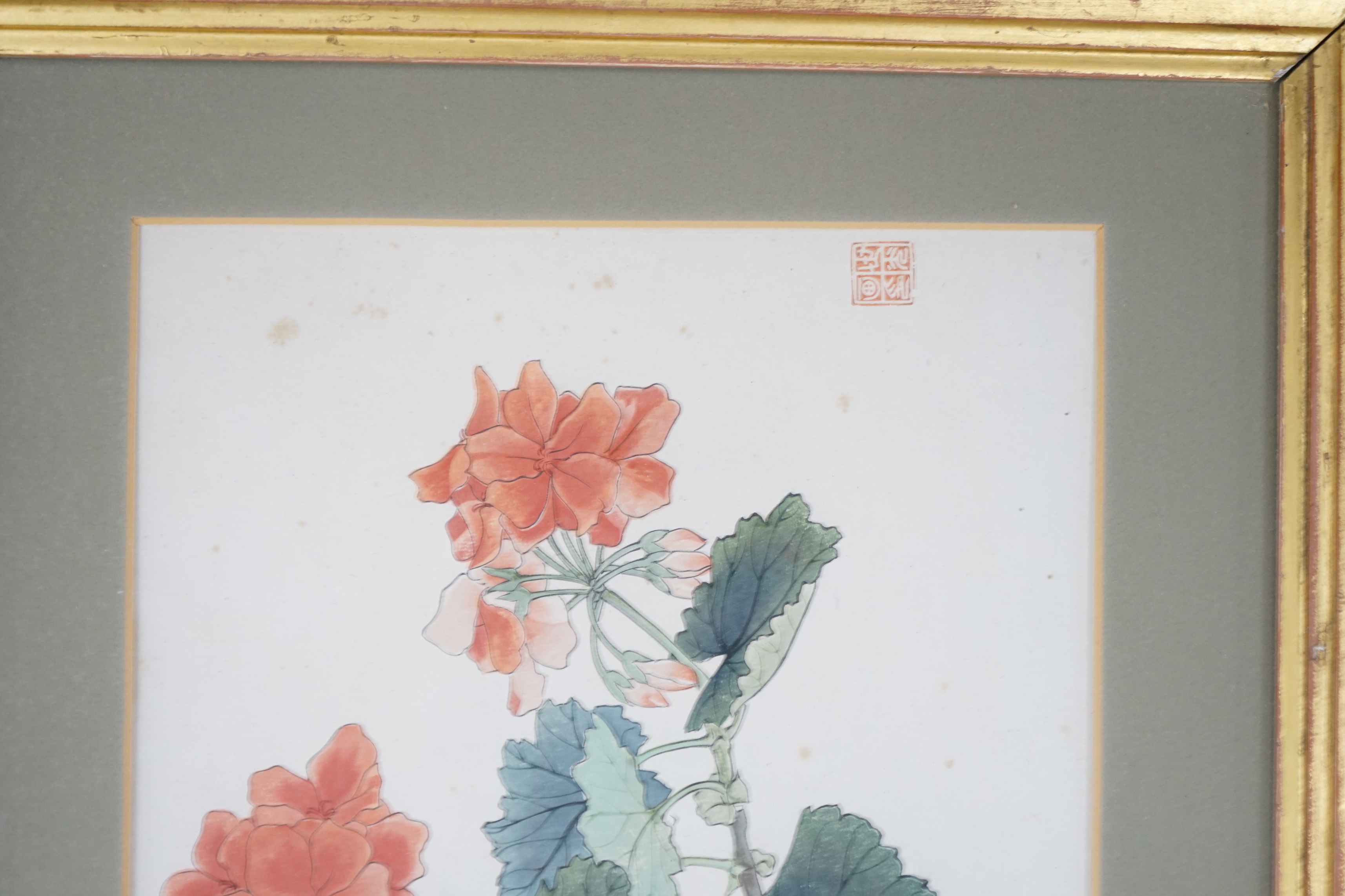 Chinese School, watercolour, Pelargoniums, 26 x 19cm